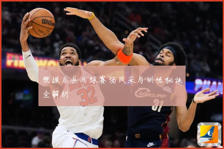 樊振东乒乓球赛场风采与训练秘诀全解析
