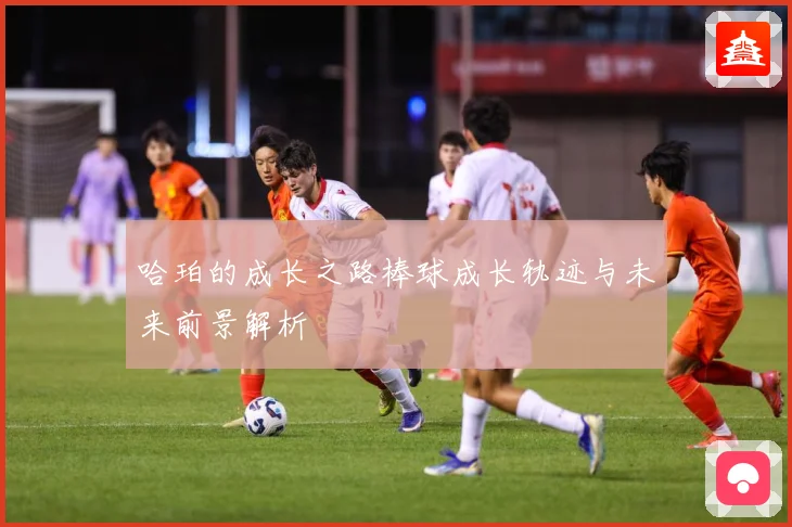 哈珀的成长之路棒球成长轨迹与未来前景解析